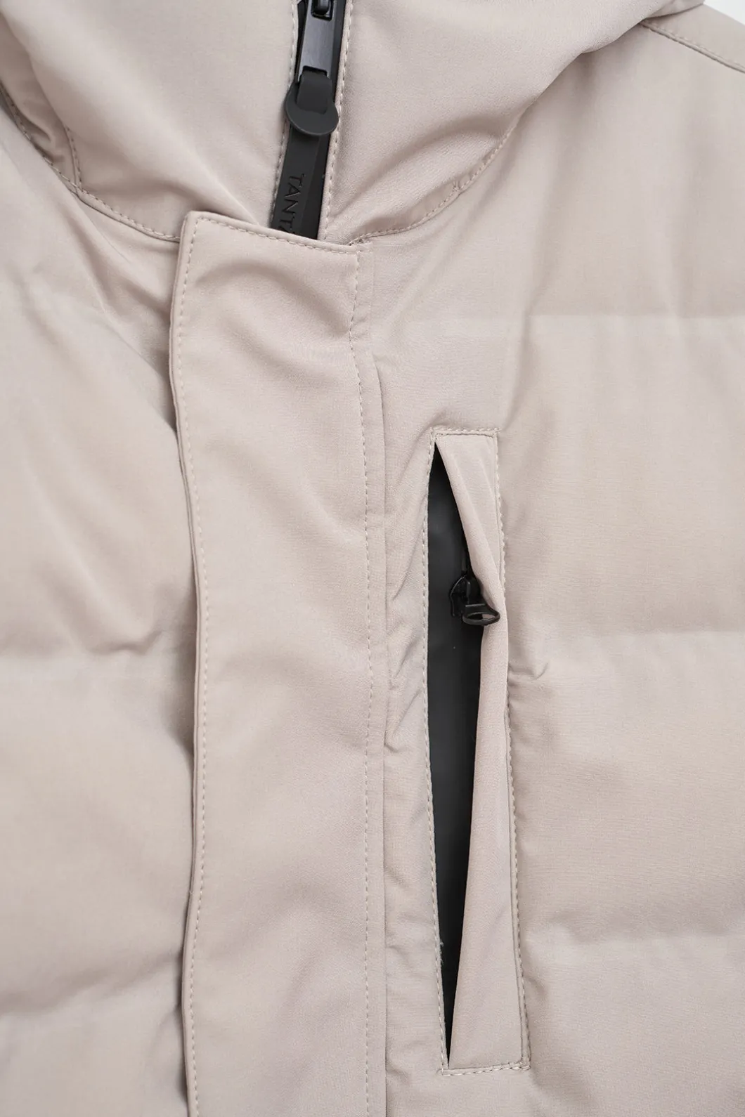 Shop Borë Hombre Plumíferos