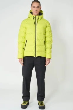 Best Hrom Hombre Plumíferos