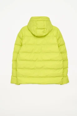 Best Hrom Hombre Plumíferos