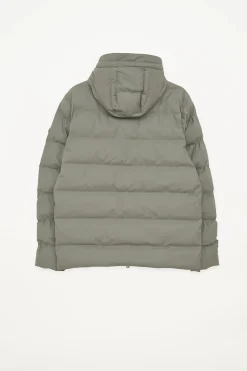 New Hrom Hombre Plumíferos